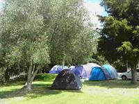 Holiday park for sale in Northland, NZ this holiday park deserves your serious consideration as it's profitable, well maintained and updated