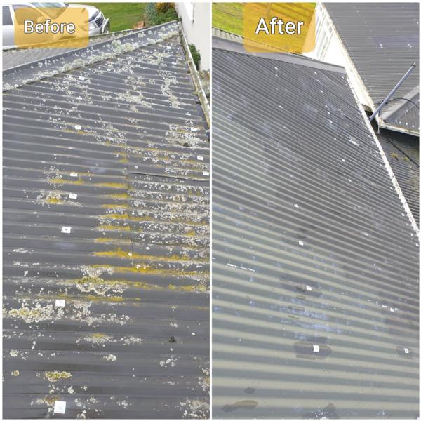 The dangers of letting the mould grow on your roof with Rotorua's leading business and house washing service, Exterior Washing Services.