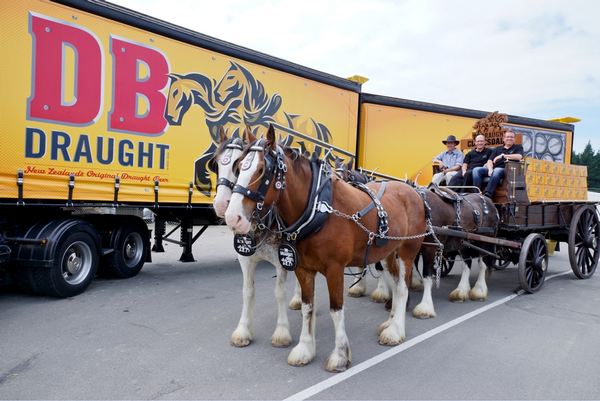 DB Draught Clydesdales Delivery 