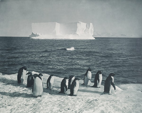 Tabular iceberg off Cape Royds, 13 February 1911, Herbert Ponting. Presented to King George V, 1914. 