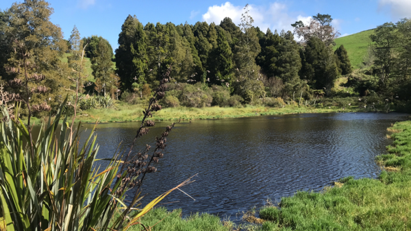 Confusion around plan changes and healthy rivers is just one topic to be covered by a compliance panel discussion focused on making life easier for farmers being held in the Waikato next month. 