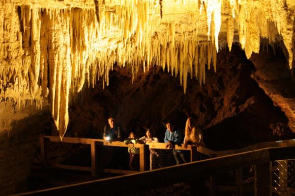 Waitomo-based Footwhistle Glowworm Cave celebrates 100 years guiding.   