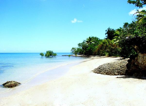Island freehold for sale in Fiji check out vendor options!