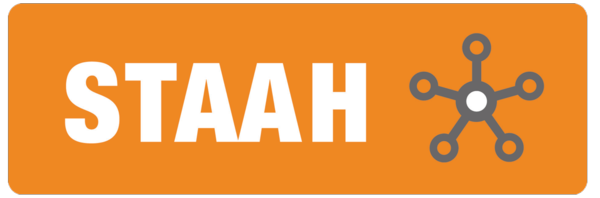 Leading Channel Management Company STAAH launches new spectacular website and video