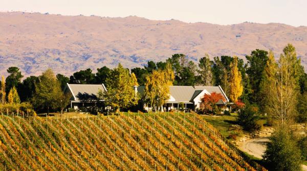 Great opportunity to purchase vineyard & accommodation freehold investment in Alexander, Central Otago, New Zealand
