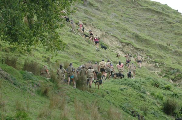 Eukanuba Shepherds' Shemozzle entrants tackle the hilly terrain