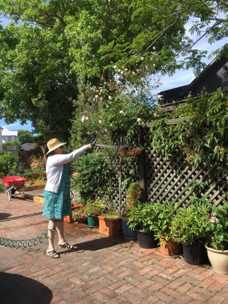 ChCh City Councillor Ali Jones Tends To Her Garden