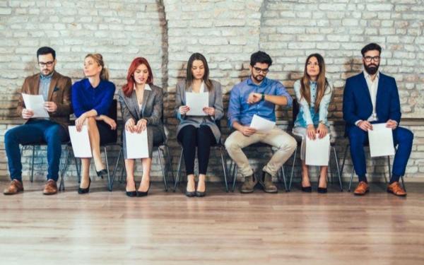 Where Do Kiwis Find Their Jobs?