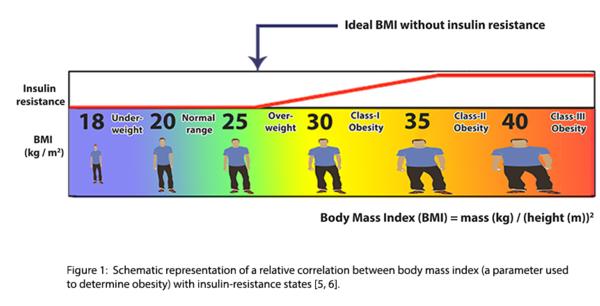  Body Mass Index (BMI)