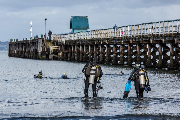 Divers enter the water at the start of the Petone foreshore clean-up. 