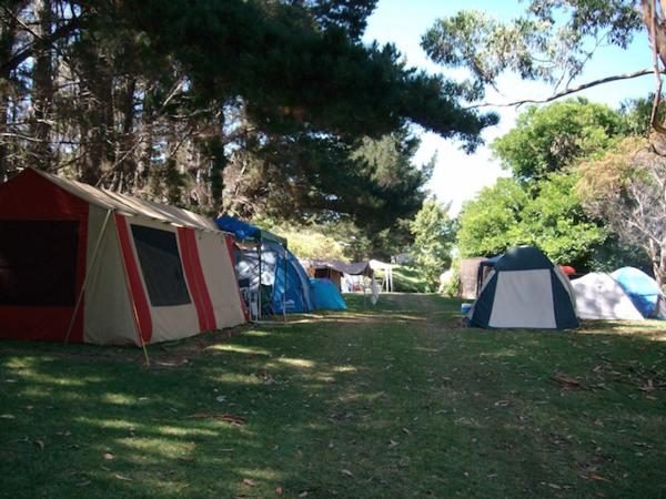 Holiday park for sale in Northland, NZ prime beachfront location with an assortment of accommodation options!