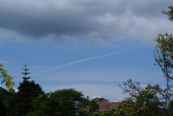 One of Many Aerosol Trails Seen Over the Whangarei Region on November the 30th