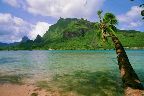 The island of Moorea in French Polynesia