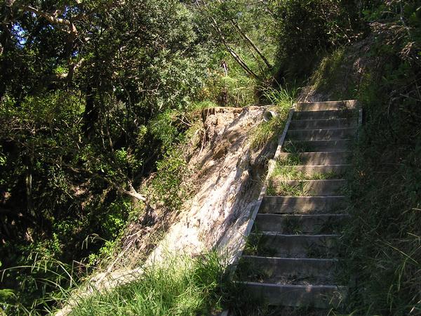 Recent rain and flooding have cause significant damage to the track from Hahei to Cathedral Cove