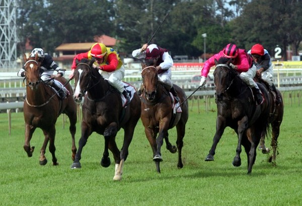 Rockdale (yellow and red colours) winning the Group 1 TJ Smith Classic for John Morrisey and Gundaroo Stud in 2008