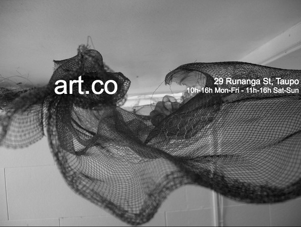 art.co creative community artspace / taupo