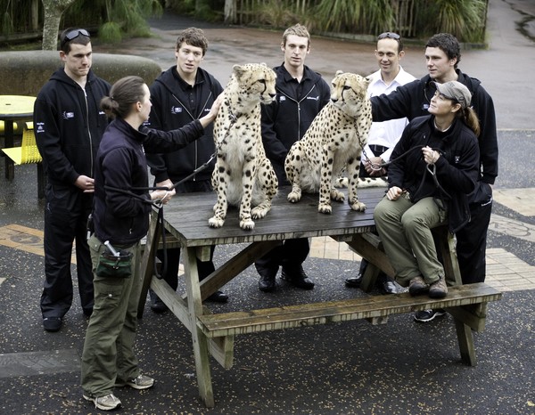 The BikeNZ sprint team (from left) Sam Webster, Ethan Mitchell, Adam Stewart, Justin Grace (coach) and Eddie Dawkins with the cheetahs Osiris and Anubis at Auckland Zoo