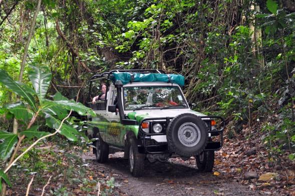 Tours business for sale in Rarotonga, Cook Islands offering (4WD Safari) adventure to extreme (Jungle Quad) off-road Jungle Adventure
