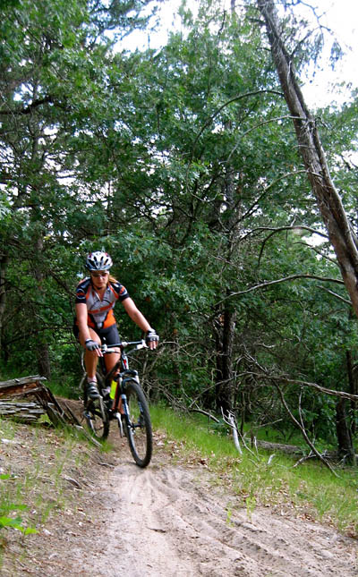fast mountain bike sections