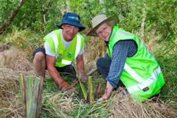 Volunteering for a good cause: Fonterra's GM Sustainability John Hutchings and Minister of Conservation Kate Wilkinson planting a native shrub in Poynters Nature Reserve near Kaiapoi today.