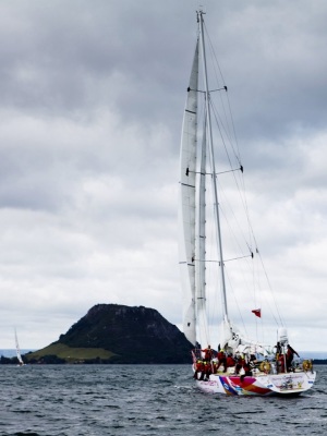 One of the Clipper yachts in Tauranga Harbour.
