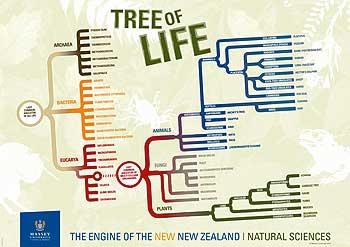 Tree of Life science poster for  schools, designed by Massey University.
