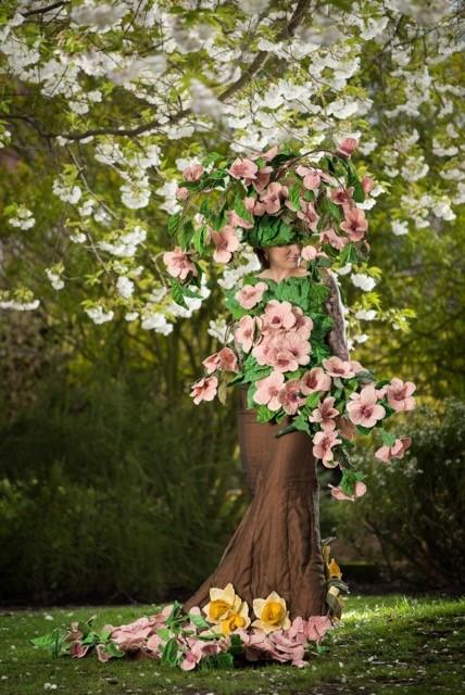 Flowering Cherry by Jenny Gillies