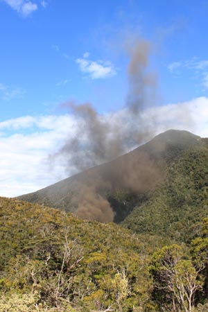  the vent area after the explosion on Friday 26 November, and show the vent intact.