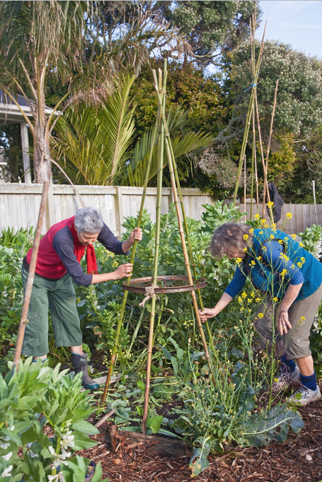 Community gardeners learn as they go.