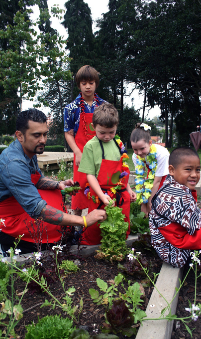 Foraging for a feast: kiwi chef Michael Meredith and Owairaka Primary school children harvest in the school garden (Mt Albert, Auckland)