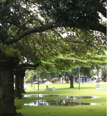 Rain pools on the ground in the Square 16 Nov 11.