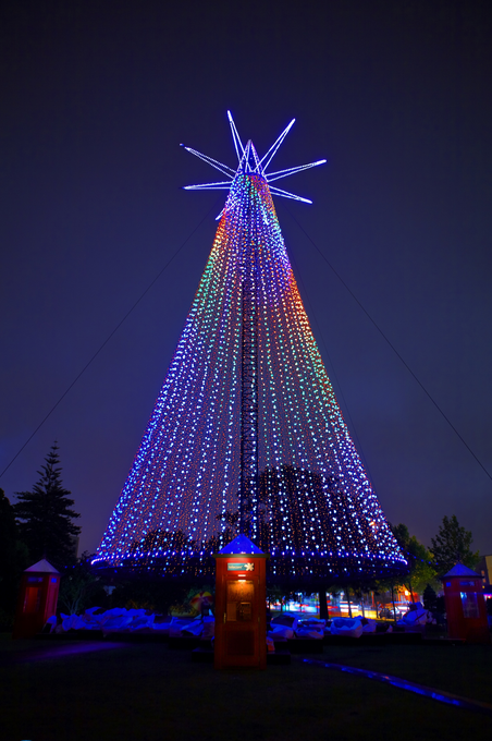 Auckland Christmas tree