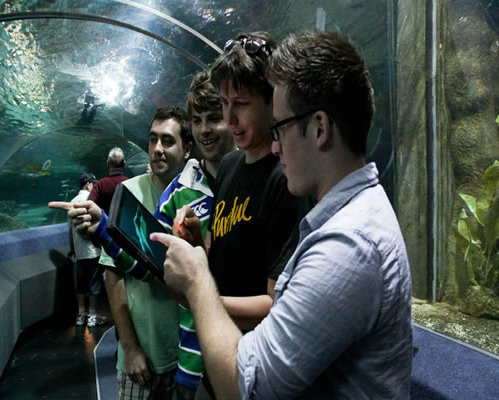 National Aquarium Digital Tours