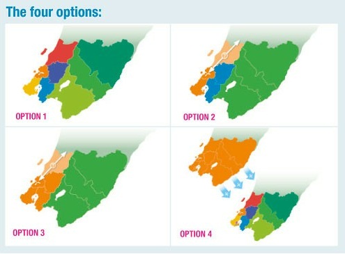 Map showing the four options for local government reform.