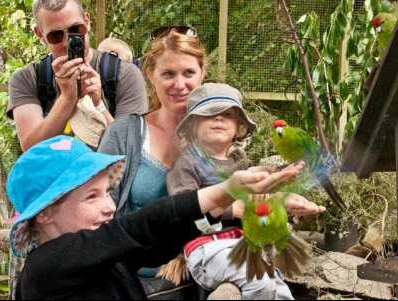 Lochmara Lodge - family fun at the Wildlife Recovery Centre.