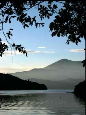 Lochmara Lodge sits in a pristine coastal environment in the Marlborough Sounds.