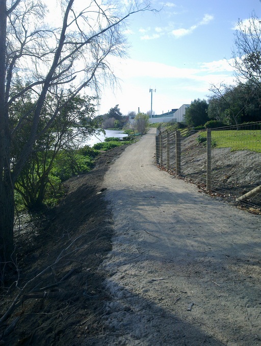 Part of the new Hastings to Clive pathway looking towards the planting site.