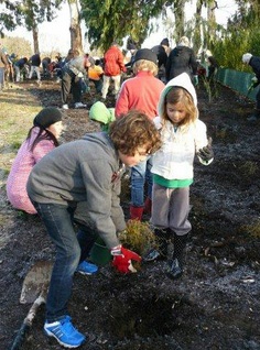 Max and Somerset Wight helping out with the planting.