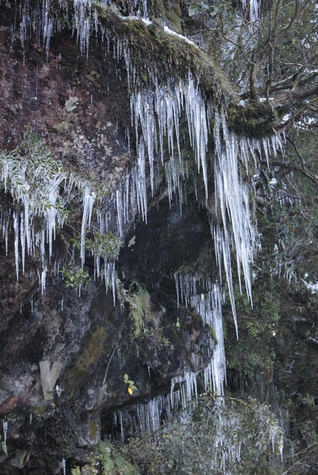 Icicle B