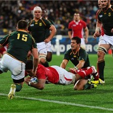 Toby Faletau scored Wales' try to shake the Springboks