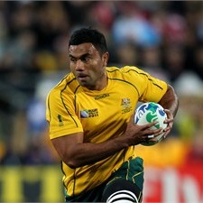 Wycliff Palu is ruled out of RWC 2011 with hamstring injury