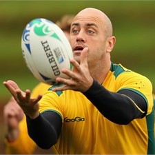 Wallaby second row Nathan Sharpe will play his 100th Test on Friday
