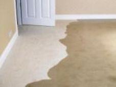 carpet cleaning auckland