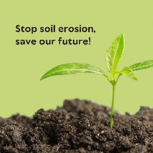 Stop Soil erosion