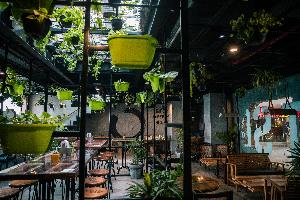 Commercial Renovation Auckland