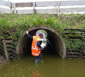 Waikato Regional Council officer inspecting stock underpass.