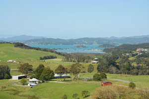 The former farmland/lifestyle block subdivision being sold by Landcorp Estates as it quits the Bay of Islands residential real estate market. 