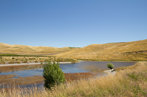 Tetley Brook Vineyard &#8211; irrigated by its own private dam and now in a mortgagee sale. 