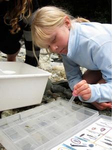 Esmee Davies learning about food webs. 