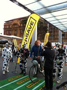 PAK'nSAVE Running of the Cows